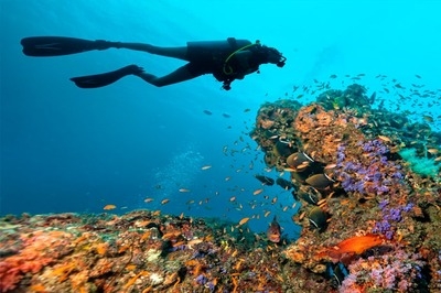 Life under water